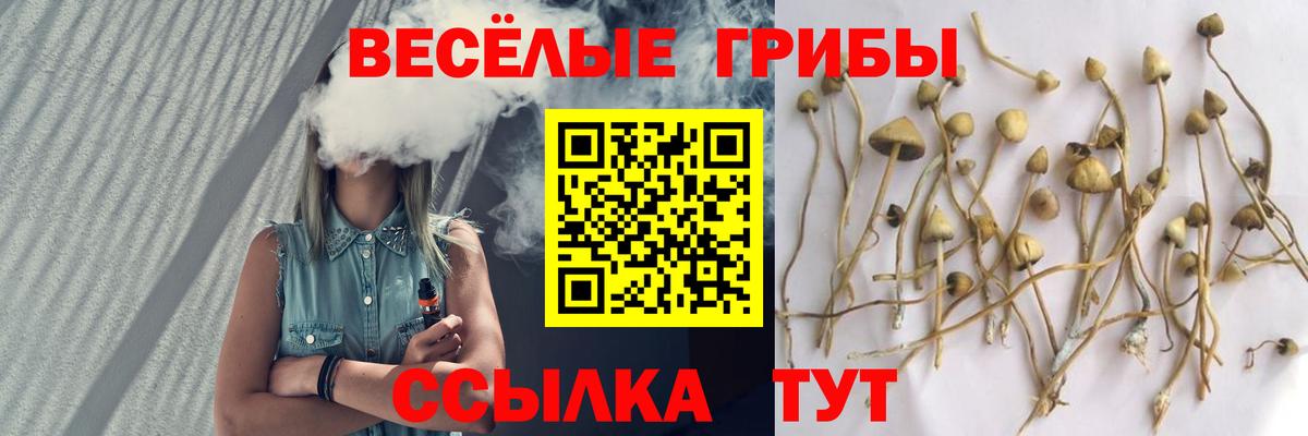 Кудымкар  как найти закладки  Вход с VPN  Галлюциногенные грибы ЛСД 